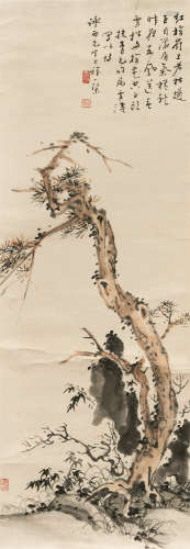 王雪涛（1903～1982） 松 立轴 设色纸本