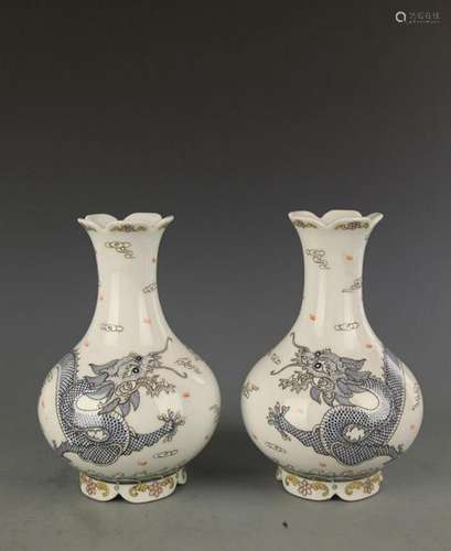 PAIR OF FAMILLE ROSE COLOR DRAGON PATTERN VASE