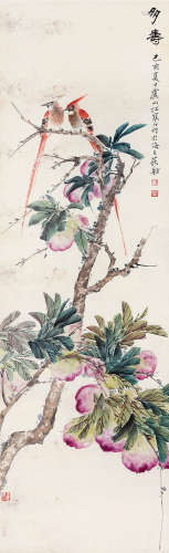 江寒汀（1903～1963） 多寿 立轴 设色纸本