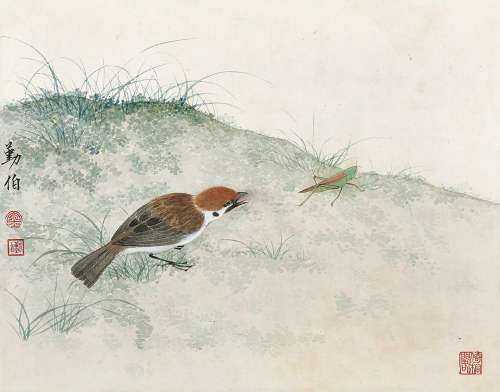 金勤伯（1910～1998） 山雀在后 镜心 设色纸本