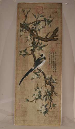 Scroll painting. China. Circa 1900. Ink and colours on paper. Scene of magpie in a flowering tree. Ch'ien Lung inscription and twenty-four seals. 53