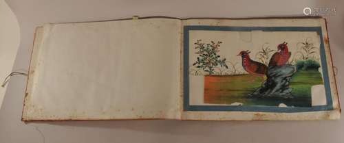 Pith paper album. China. 19th century. Mineral pigments on paper. Eight pictures of various birds with identification underneath.  10