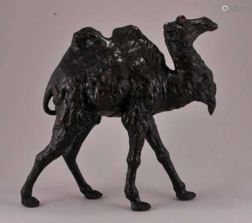 Bronze sculpture. Japan. Meiji period. (1868-1912). Study of a camel with inlaid eyes. Signed Shoko.   15