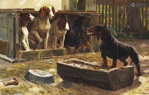 Simon Simonsen: Five dogs watching a furious dachshund.