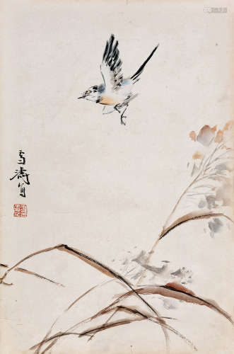 王雪涛（1903～1982） 花鸟 镜心 设色纸本