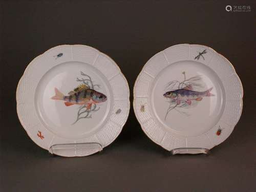 Two Fish Plates Meissen - underglaze blue sword mark, Knauf time, Ozier relief, polychrome<br />painted with fish in the well and insects in the edge, gold rim, Nr.2901 / 82, red dot under the swords mark, slight signs of use, D.ca.25,5cm