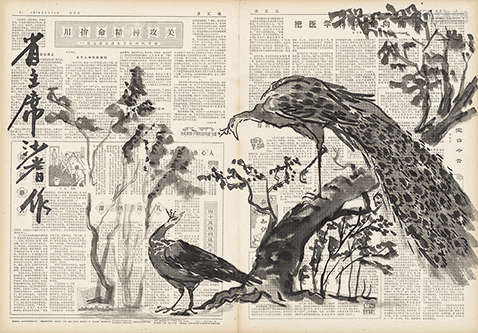沙耆（1914～2005） 1973年作 孔雀 纸本水墨