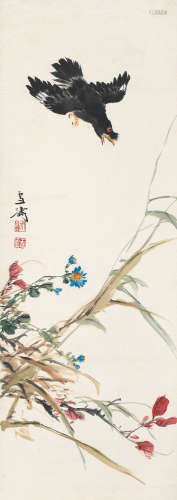 王雪涛（1903～1982） 秋菊八哥 立轴 纸本