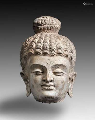Tête de Bouddha en stuc, à la chevelure recouvrant...