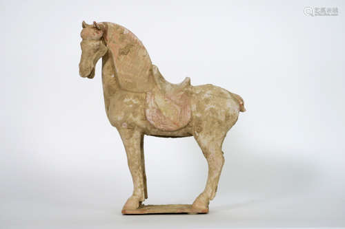 Chinese Tang Dynasty tomb figure (horse) in earthenware with remains of the original polychromy