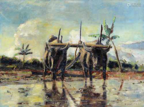 H. Hofstede (active 1930s) 'Plowing water buffalos', signed l.r., canvas. 60 x 80 cm.