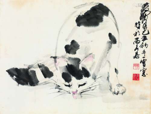 黄胄（1925～1997） 猫 镜片 设色纸本