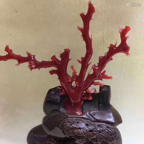 A RED CORAL TREE DESIGN BONSAI