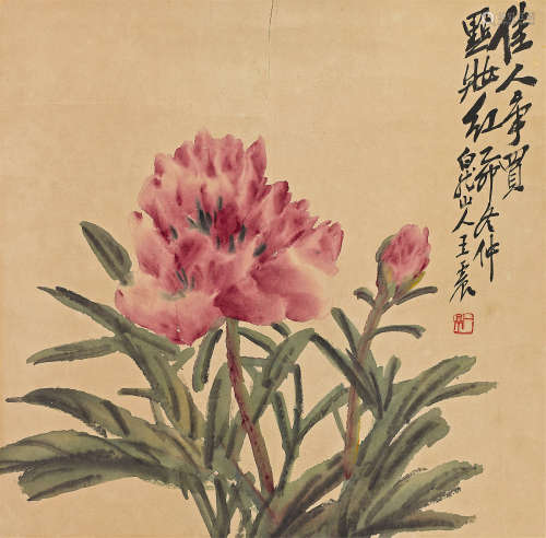 王震（1867～1938） 1915年作 芍药花 镜心 设色纸本