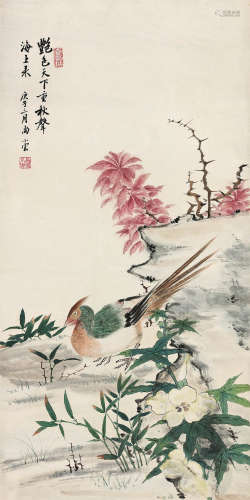 尚小云（1900～1976） 1960年作 秋葵锦鸡 镜心 设色纸本
