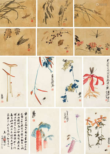 齐良琨（1903～1956） 花卉草虫 册页 （十三开） 设色纸本（绢本）