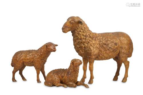 THREE 18TH CENTURY NEAPOLITAN CARVED WOOD MODELS OF SHEEP two standing and one reclining, 38cm high,