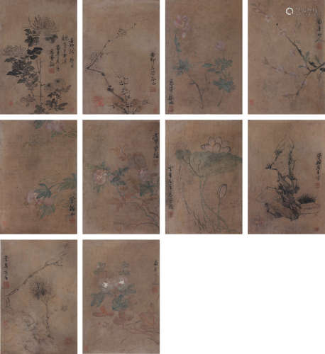高凤翰（1683～1748） 花卉 册页 纸本设色