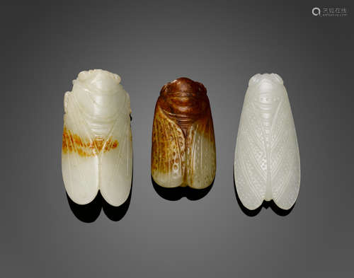 A group of three carved jade cicadas