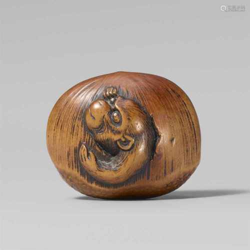 A large boxwood netsuke of a monkey in a chestnut. First half 19th centuryEmerging from a