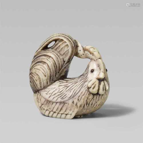 A very large ivory netsuke of a cockerel. 19th centurySeated with legs folded under, head turned