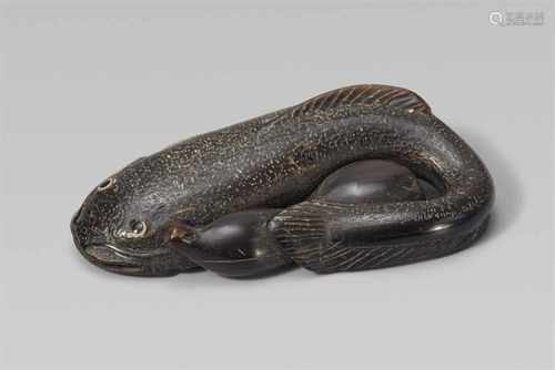 An unusual and interesting greyish horn netsuke of a catfish and a gourd. Second half 19th