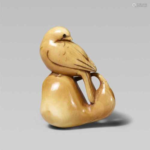 A rare stained ivory netsuke of a long-tailed bird, by Ashitomo. First half 19th centuryPerched on a