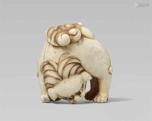 An unusual ivory netsuke of a shishi. Early 19th centuryStanding with legs wide apart and head