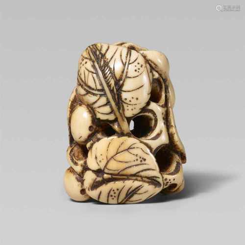 An ivory netsuke of a gourd vine. Early 19th centuryFive double gourds hanging from stems with