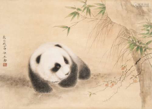 王生勈  熊猫咪咪