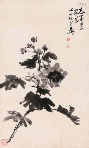 谢稚柳（1910～1997） 墨牡丹 镜片 设色纸本