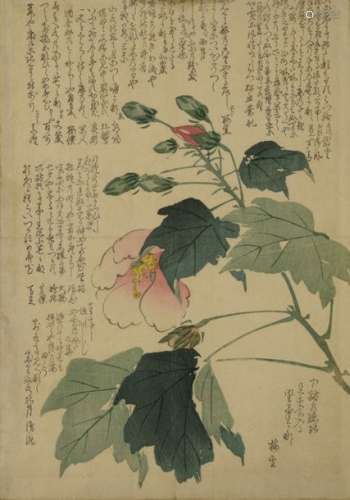 JAPON, XIXe siècleEstampe non signée Branche fl...