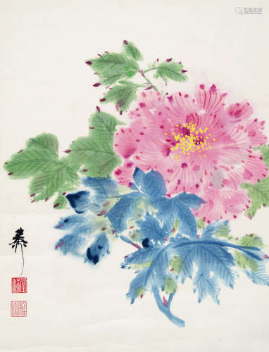 谢稚柳  芙蓉 纸本立轴