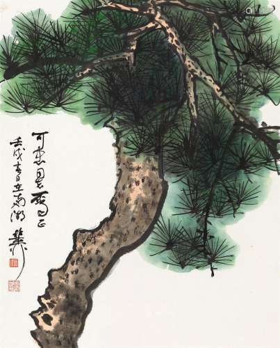 谢稚柳 壬戌（1982）年作 松树 镜片 设色纸本
