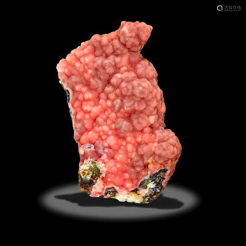 Large Botryoidal Rhodochrosite