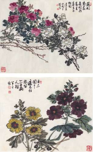 陈半丁（1877～1970） 牡丹图·菊花图 （二帧） 画心 设色纸本