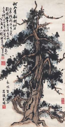 刘蟾 刘海粟（1949～） 1976年作 古柏苍郁图 镜片 设色纸本