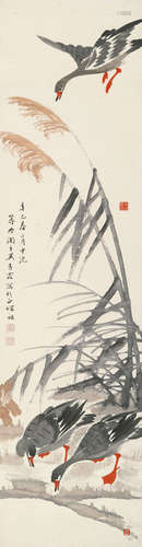 吴青霞（1910～2008） 芦雁 立轴 设色纸本