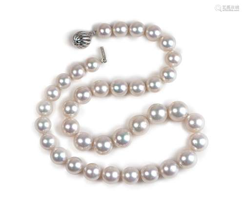 SOUTH SEA CULTURED PEARL NECKLACE