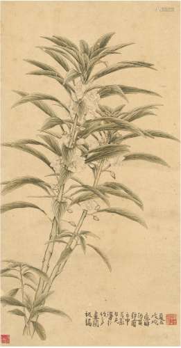 黄士陵（1849～1908） 1898年作 凤仙图 立轴 设色纸本