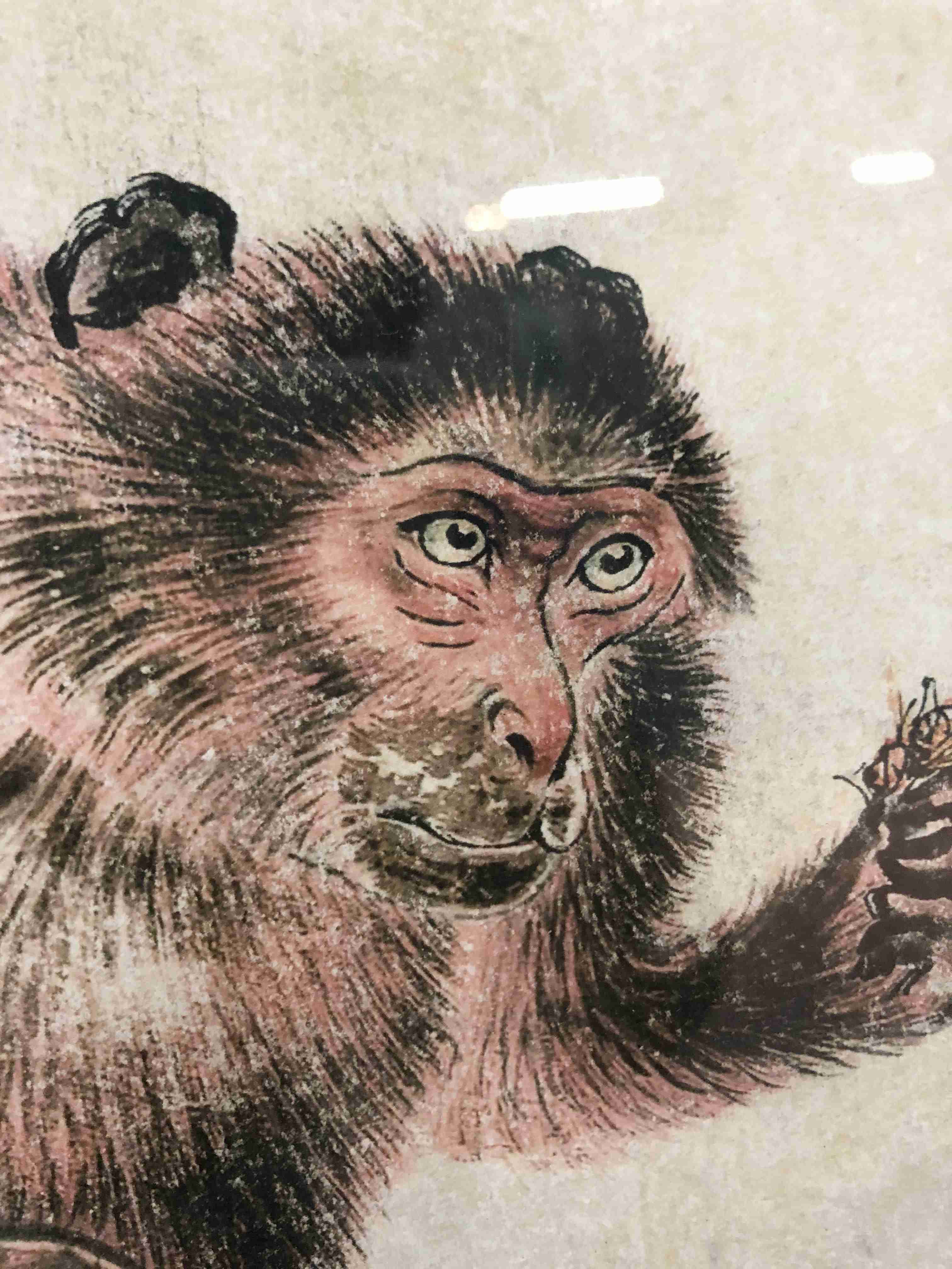 猴子怎么画 画家图片