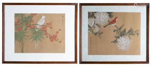 Pair of Framed Chinese Bird Paintings