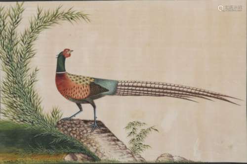 Suite de douze oiseaux. Peinture en polychromie su...