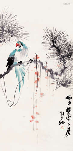 张大壮（1903～1980） 鹦鹉 立轴 设色纸本