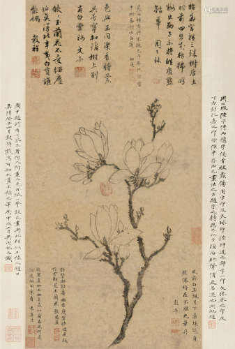 王榖祥（1501～1568） 玉兰图 立轴 水墨纸本