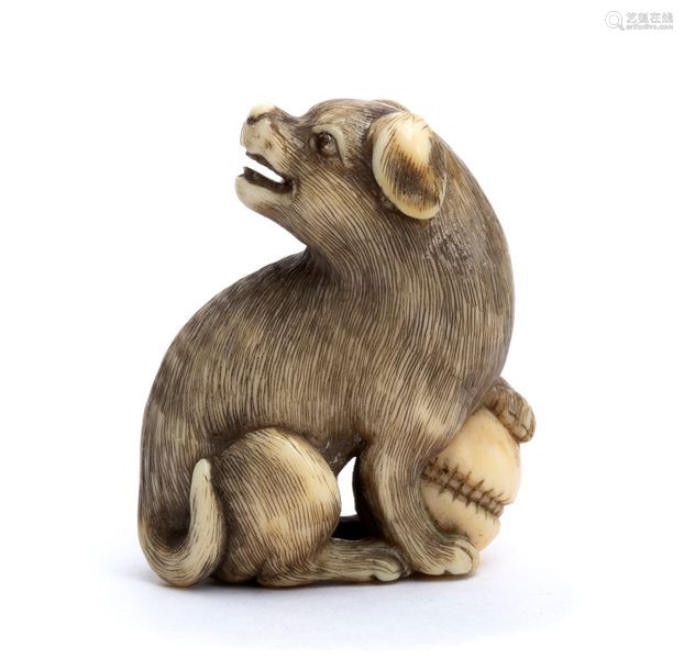 An Ivory Netsuke Of A Dog And Rattle Kyoto Early Deal Price Picture