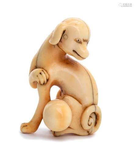 AN IVORY NETSUKE OF A DOG WITH A BALL 18th century...