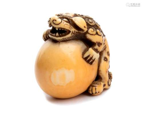 AN IVORY NETSUKE OF A SHISHI AND BALL 19th century...