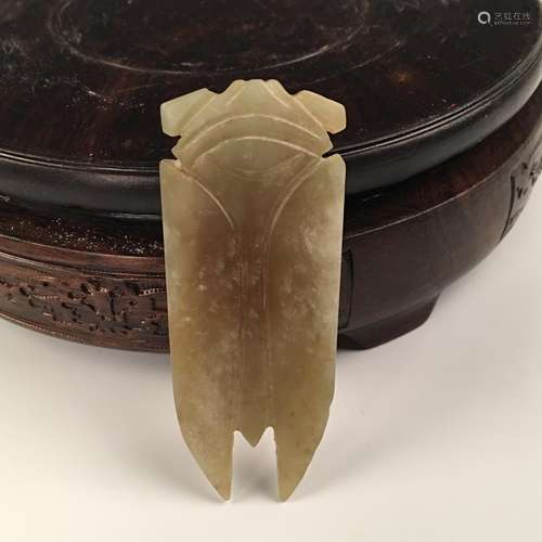 Chinese Jade Cicada