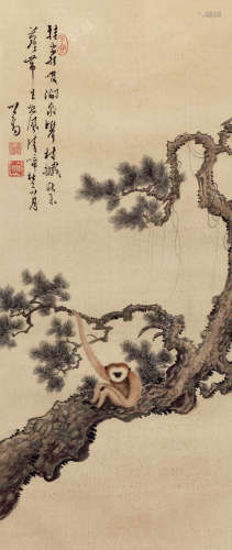溥儒（1896～1963） 松猿图 设色绢本 镜框